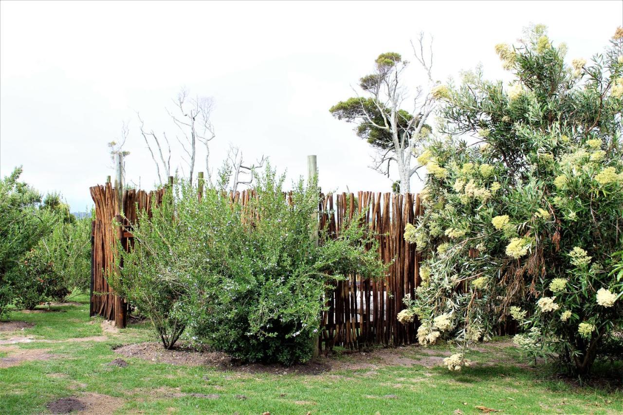 Beyond Urban Cottages 斯托姆勒菲 外观 照片