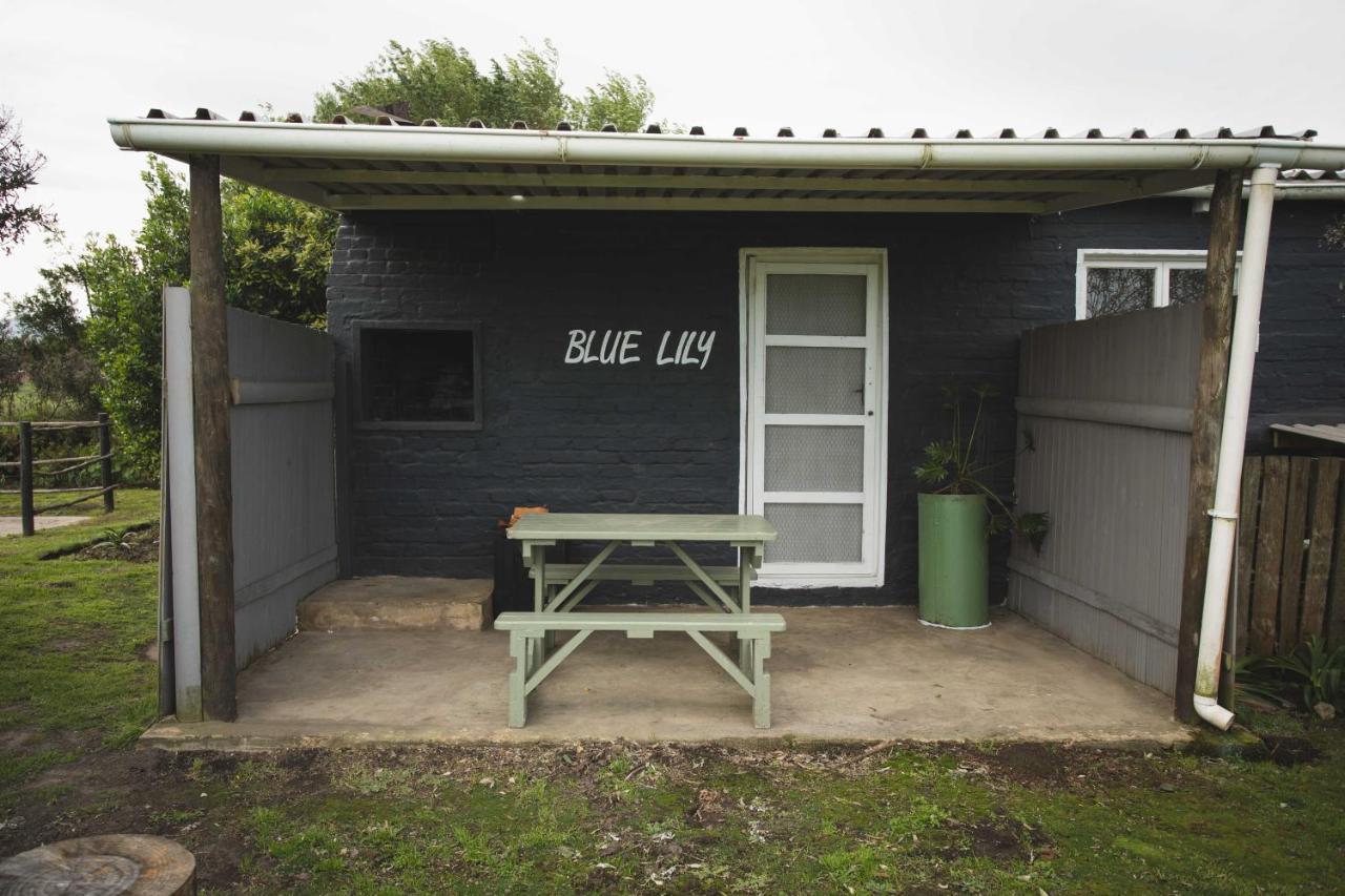 Beyond Urban Cottages 斯托姆勒菲 外观 照片